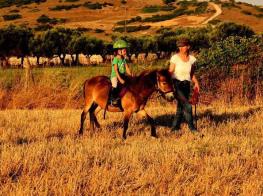 297319_10150780868815277_2910652_n