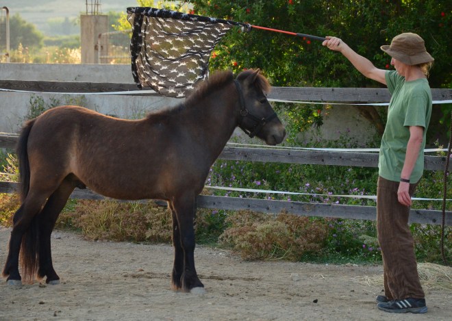 Getting ready for the festival…so rehearsals begin….. only the beginning but just to wet your appetites…..Οι ετοιμασίες για τη γιορτή έχουν αρχίσει...