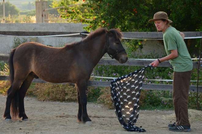 Introducing the idea of banners…Not too scarey !!!