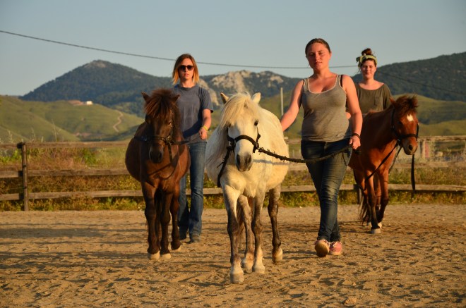 Kleo blazing the trail…….