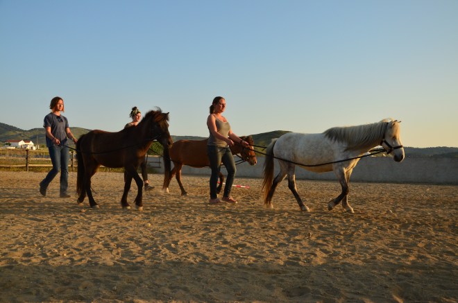 Wow nice formation ,shame the humans aren’t as good as us …are well only a practice run !!