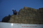 August delivery and our Mum chucking hay