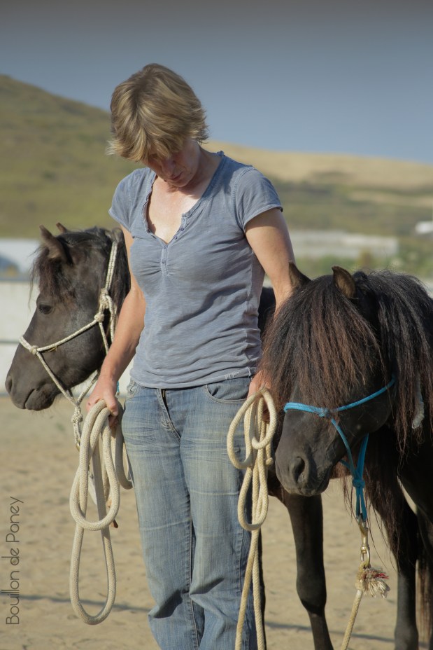Skyros Island Horse Trust – 2015 in&nbsp;Review